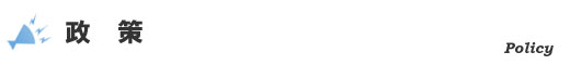 政策